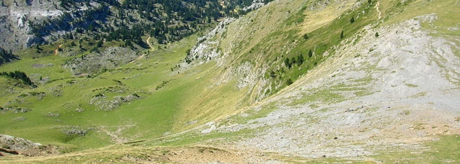 Larre eta harkaizti alpetarrak